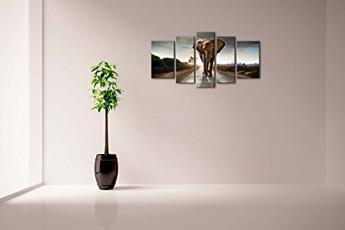 5 Panel Wall Art Elephant Walking In A Road With The Sun From Behind Painting Pictures Print On Canvas Animal The Picture For Home Modern Decoration Piece Stretched By Wooden Frame Ready To Hang